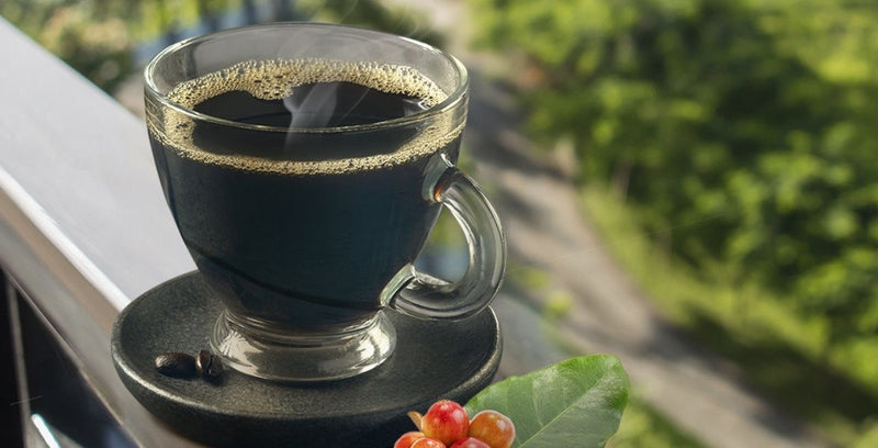 Descubre cuál es el origen del café